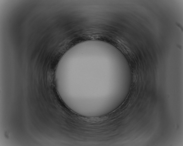 X0000093360030200710111316