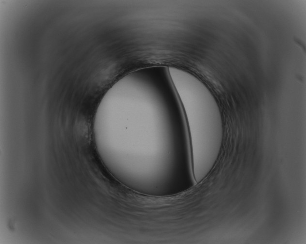 X0000093360031200710111316
