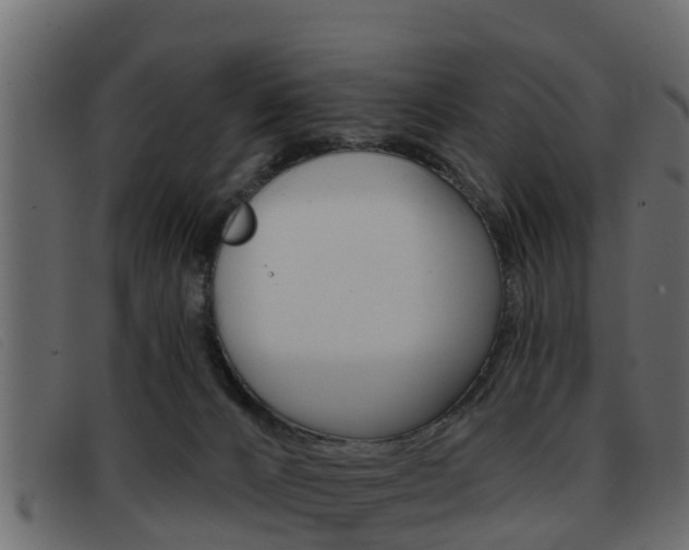 X0000093360032200710111316