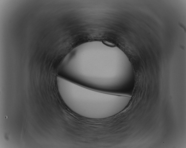 X0000093360033200710111316