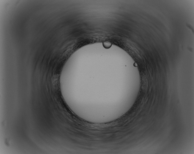 X0000093360034200710111316