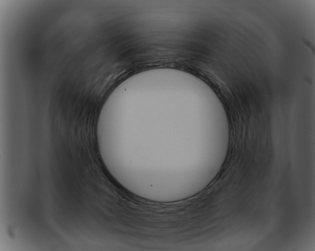 X0000093360035200710111316
