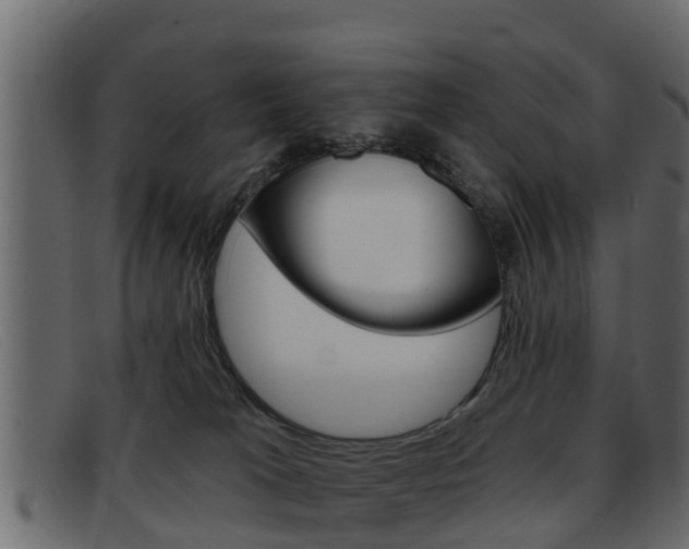 X0000093360037200710111316