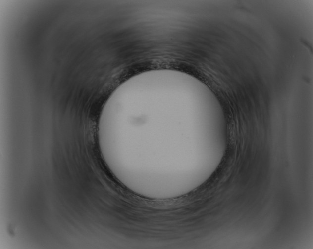 X0000093360038200710111316