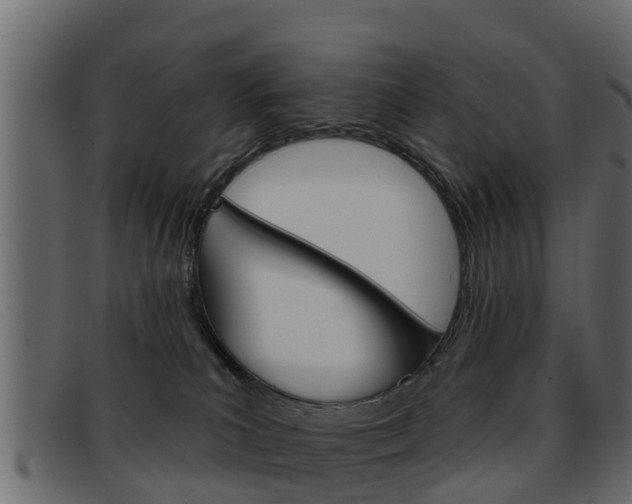 X0000093360039200710111316