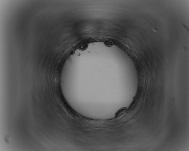 X0000093360040200710111316