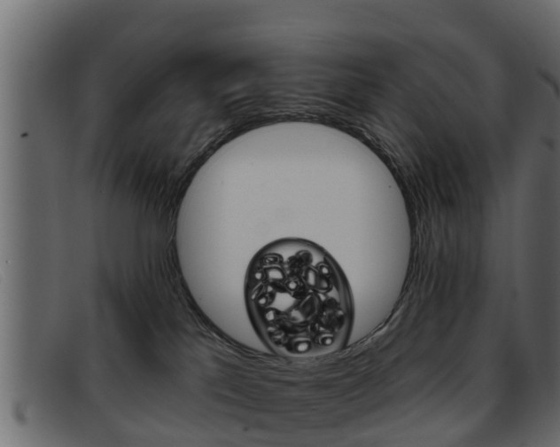 X0000093360041200710111316