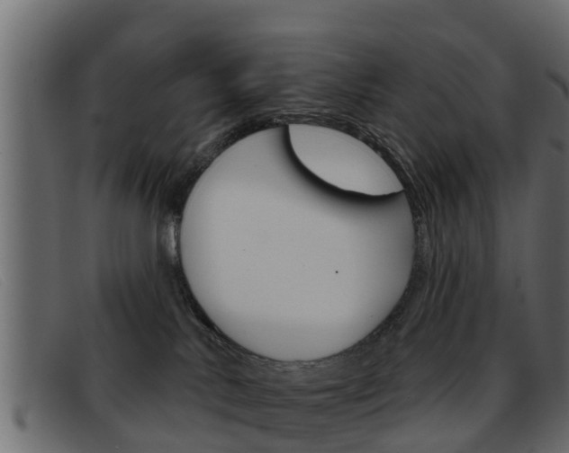 X0000093360042200710111316