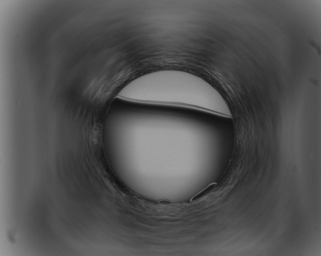 X0000093360044200710111316