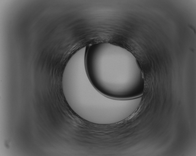 X0000093360045200710111316