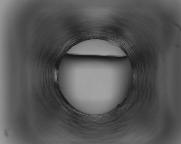 X0000093360046200710111316