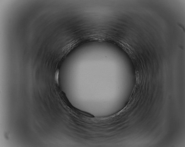 X0000093360047200710111316