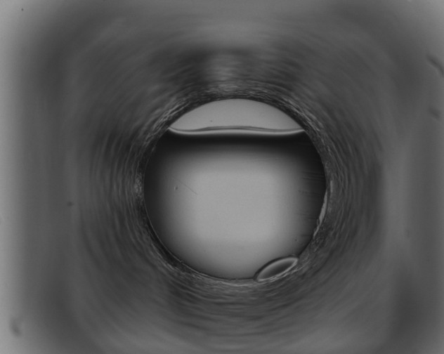 X0000093360048200710111316