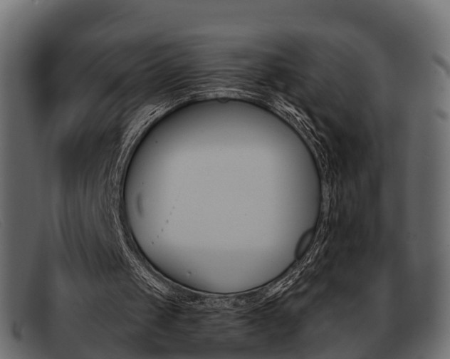 X0000093360049200710111316