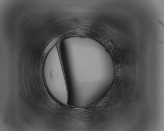 X0000093360051200710111316
