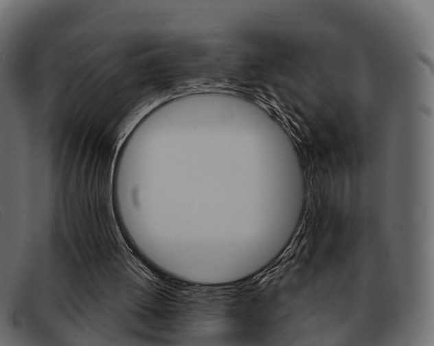 X0000093360052200710111316