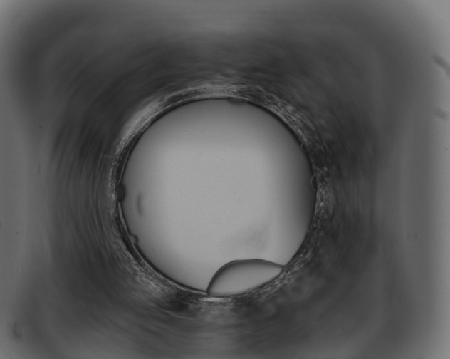 X0000093360053200710111316