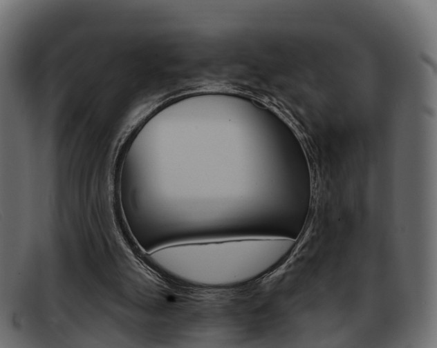 X0000093360055200710111316
