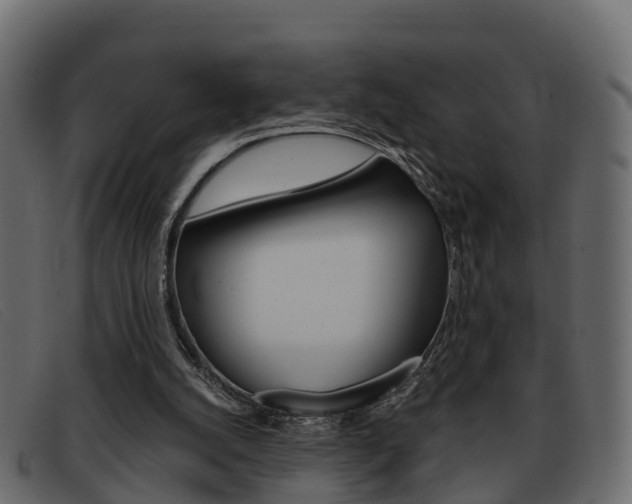 X0000093360056200710111316