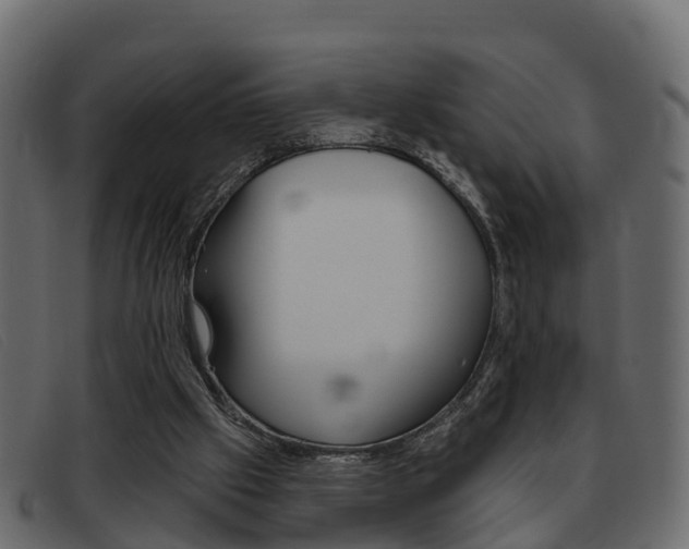 X0000093360057200710111316