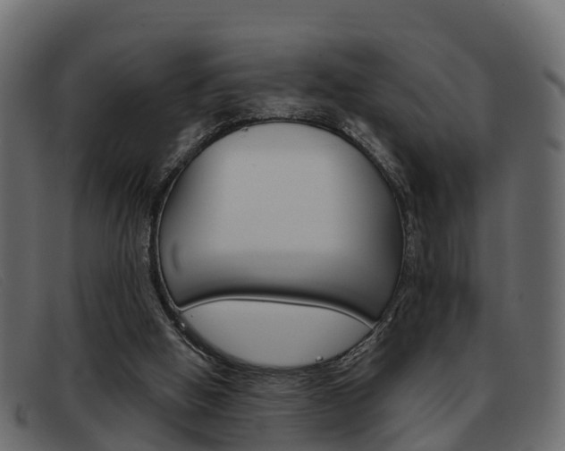 X0000093360058200710111316