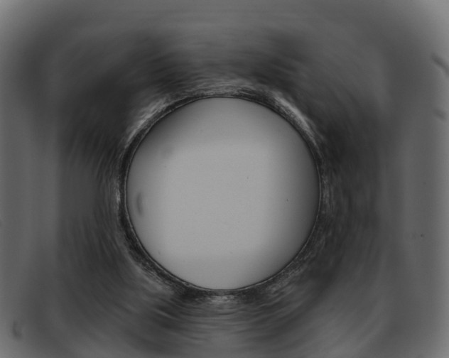 X0000093360059200710111316