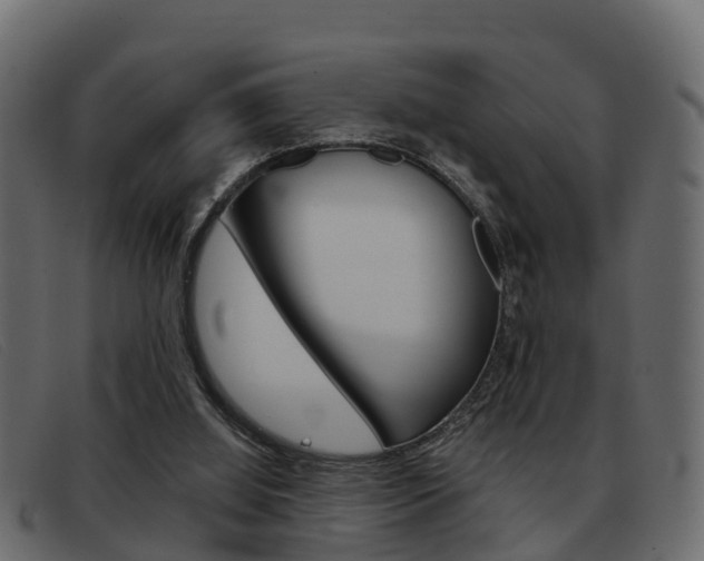 X0000093360060200710111316