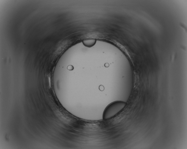 X0000093360061200710111316