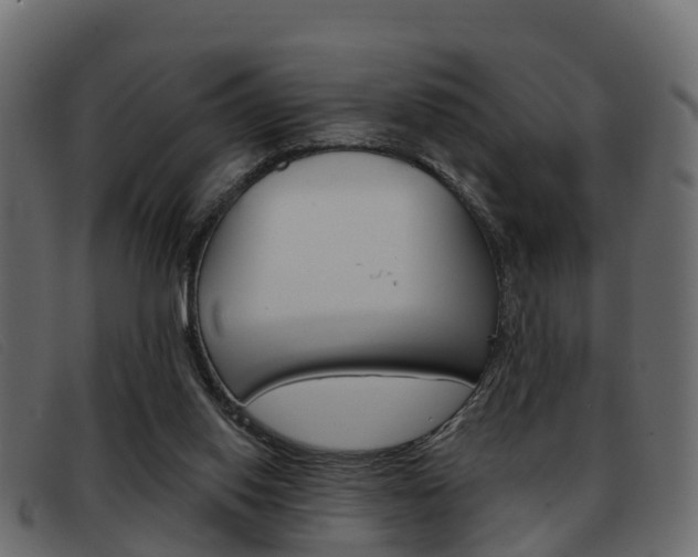 X0000093360062200710111316