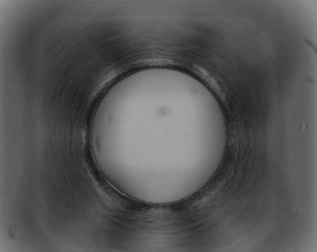 X0000093360063200710111316