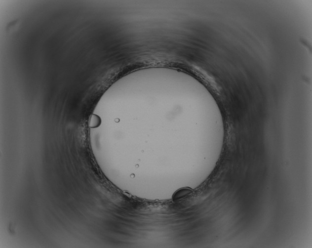 X0000093360065200710111316