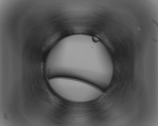 X0000093360066200710111316