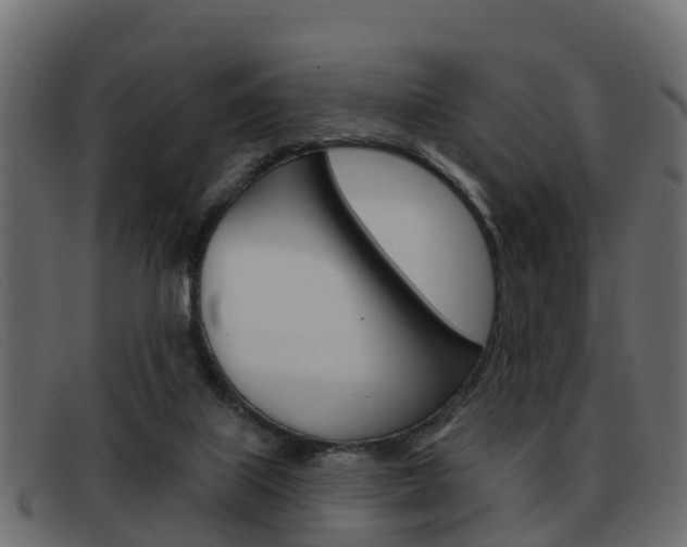 X0000093360067200710111316