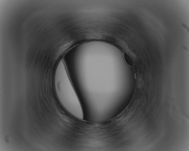 X0000093360068200710111316
