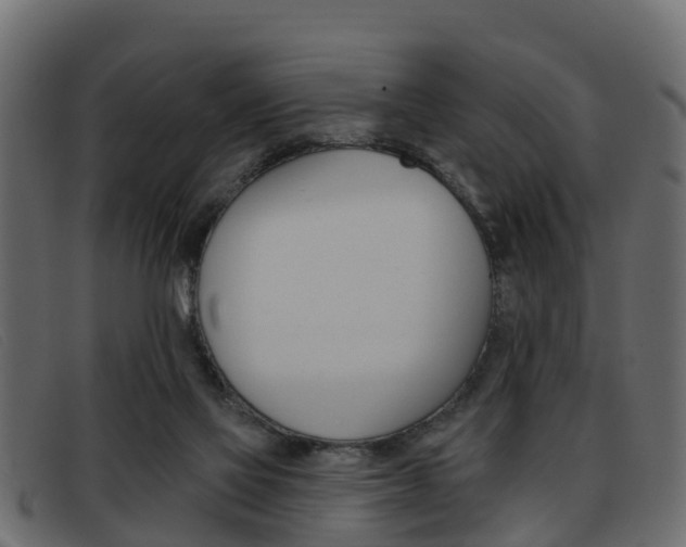 X0000093360069200710111316
