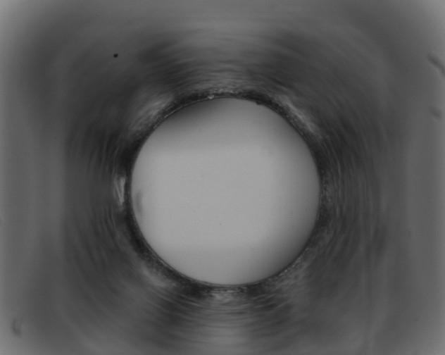 X0000093360070200710111316