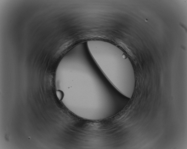 X0000093360071200710111316