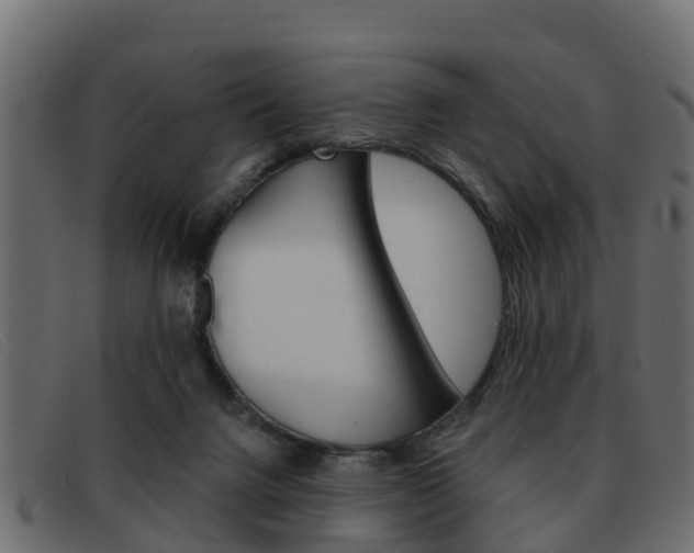 X0000093360072200710111316