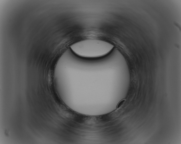 X0000093360074200710111316