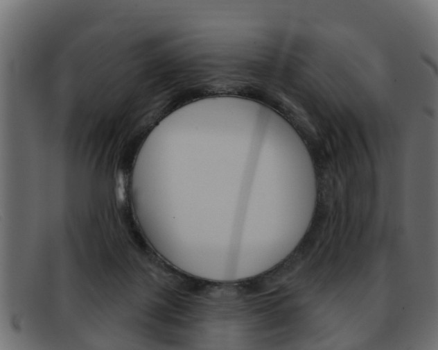 X0000093360075200710111316