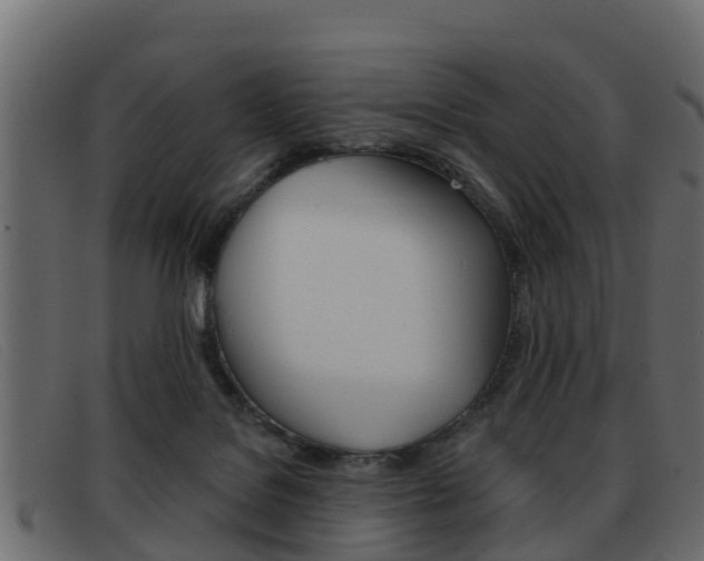 X0000093360076200710111316