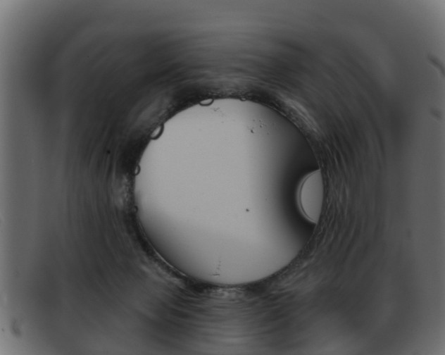 X0000093360077200710111316