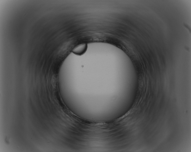 X0000093360078200710111316