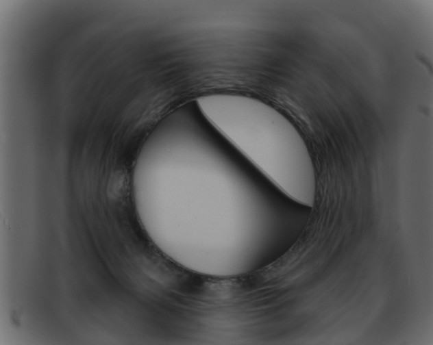 X0000093360079200710111316