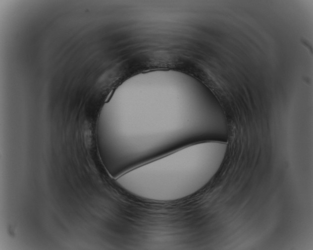 X0000093360080200710111316