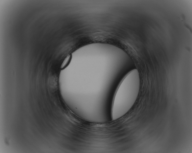 X0000093360081200710111316