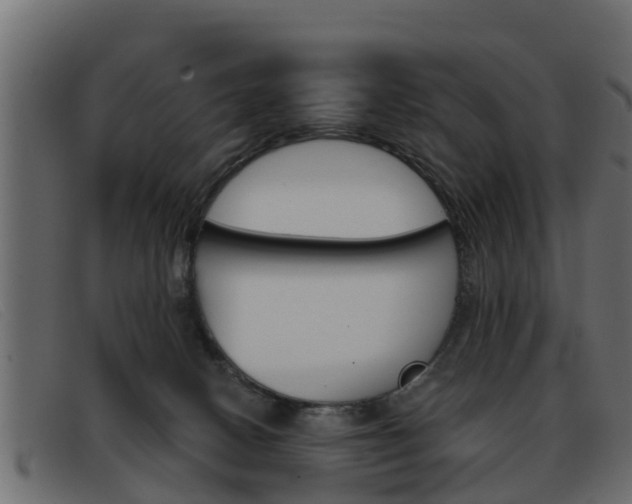 X0000093360082200710111316
