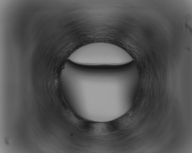 X0000093360085200710111316