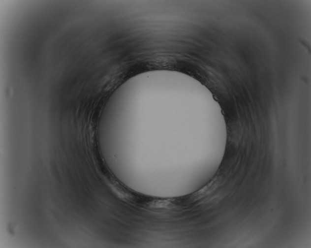 X0000093360086200710111316