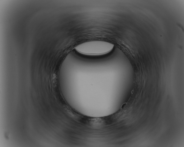X0000093360087200710111316